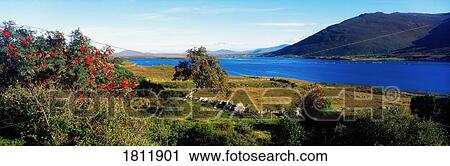 Co Mayo near Mulranny, Ireland View Large Photo Image Stock Image - Co Mayo near Mulranny, Ireland. Fotosearch