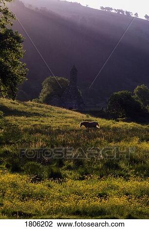 Co Wicklow, Glendalough, Ireland View Large Photo Image Stock Image - Co Wicklow, Glendalough, Ireland. Fotosearch