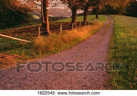 Country Road near Saint Peter, Black Forest, Germany View Large Photo Image Stock Photography - Country Road near Saint Peter, Black Forest, Germany. Fotosearch