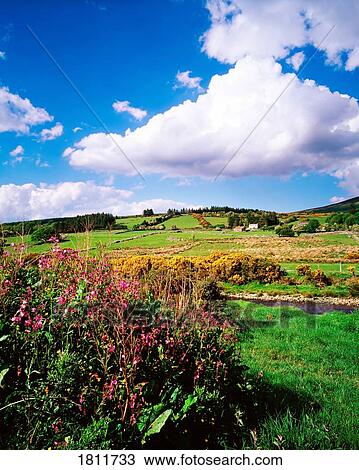 Stock Image - Countryside near Sally Gap, Co Wicklow, Ireland. Fotosearch