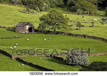 Stock Photograph - Derbyshire barn . Fotosearch