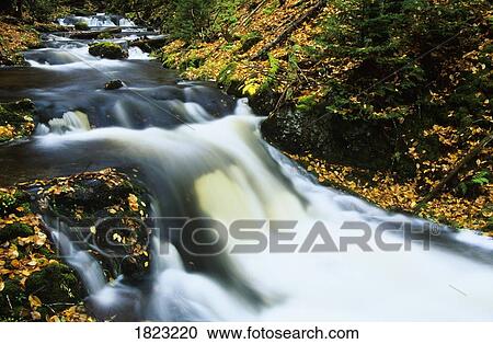 Dickson Creek in Fall, Fundy National Park, New Brunswick, Canada View Large Photo Image Stock Image - Dickson Creek in Fall, Fundy National Park, New Brunswick, Canada . Fotosearch