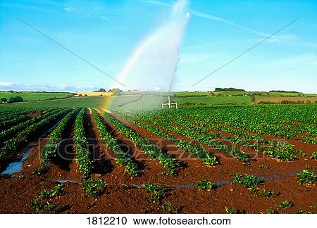 Farm irrigation, Co Waterford, Ireland View Large Photo Image Stock Image - Farm irrigation, Co Waterford, Ireland. Fotosearch