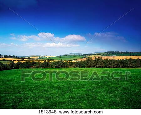Stock Photo - Farmscape, Bunclody, Co Wexford, Ireland. Fotosearch
