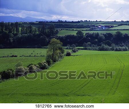 Farmscape in Ireland View Large Photo Image Stock Photography - Farmscape in Ireland. Fotosearch