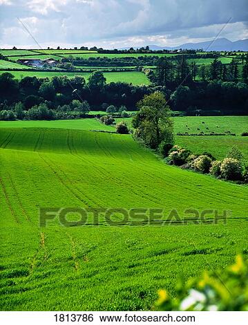 Farmscape, Ireland View Large Photo Image Stock Photograph - Farmscape, Ireland. Fotosearch