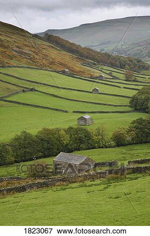 Fields near Keld, Yorkshire Dales, United Kingdom View Large Photo Image Stock Photo - Fields near Keld, Yorkshire Dales, United Kingdom . Fotosearch