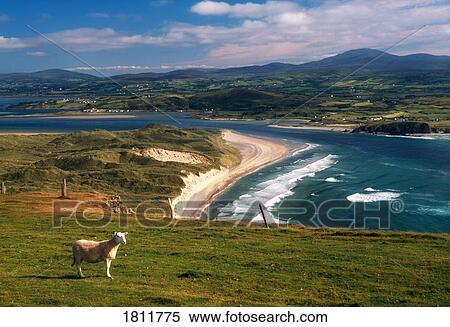 Five Finger Strand, Inishowen Peninsula, Co Donegal, Ireland View Large Photo Image Stock Photography - Five Finger Strand, Inishowen Peninsula, Co Donegal, Ireland. Fotosearch