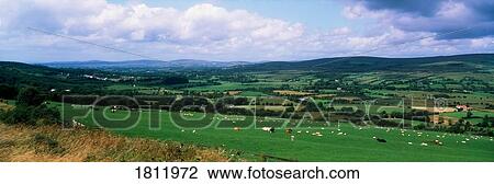 Glenelly Valley, Co Tyrone, Ireland View Large Photo Image Stock Image - Glenelly Valley, Co Tyrone, Ireland. Fotosearch