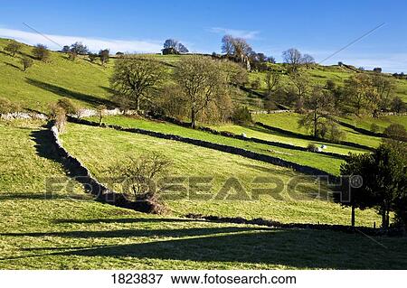 Hilly slope, Brassington, Derbyshire, England View Large Photo Image Stock Photo - Hilly slope, Brassington, Derbyshire, England. Fotosearch