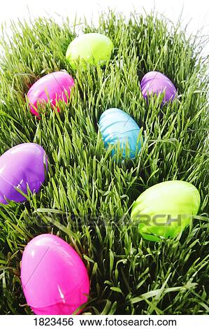 Huevos de pascua Colección de fotografía | 1823456 | Fotosearch