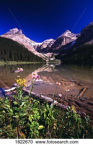 Kaufmann Lake, Kootenay National Park, British Columbia, Canada View Large Photo Image Stock Image - Kaufmann Lake, Kootenay National Park, British Columbia, Canada. Fotosearch