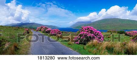 Stock Image - Killary Harbour, Co Galway, Ireland. Fotosearch