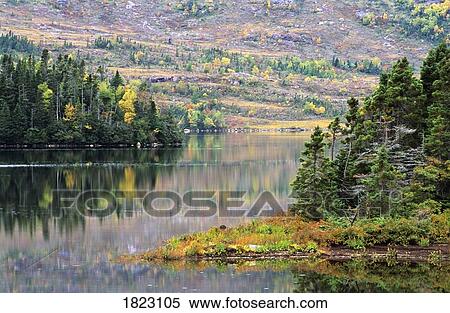 Stock Photography - Lake and trees in Fall near Swift Current, Burin Peninsula, Newfoundland, Canada. Fotosearch