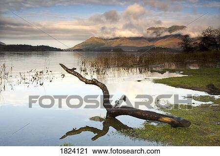 Lake Derwent, Cumbria, England View Large Photo Image Stock Image - Lake Derwent, Cumbria, England . Fotosearch