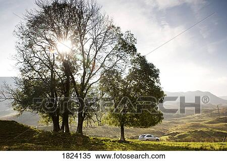 Stock Photography - Landscape, Highlands, Scotland. Fotosearch