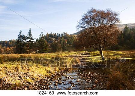 Stock Photo - Landscape in Scotland. Fotosearch