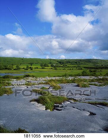 Stock Photography - Limestone pavement, The Burren, Co Clare, Ireland. Fotosearch