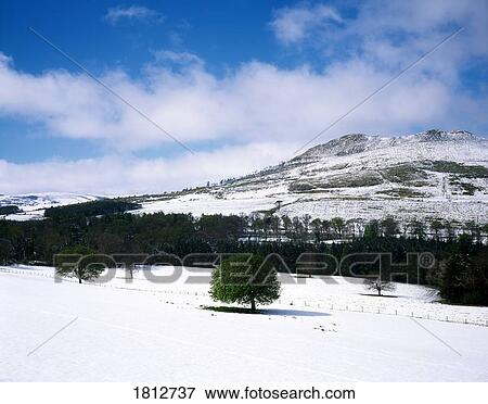 Stock Photo - Little Sugarloaf Mountain, Co Wicklow, Ireland. Fotosearch