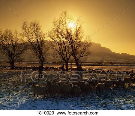 Magilligan, Co Derry, Ireland View Large Photo Image Stock Photo - Magilligan, Co Derry, Ireland. Fotosearch