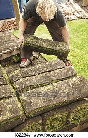 Man working with sod View Large Photo Image Stock Photo - Man working with sod. Fotosearch