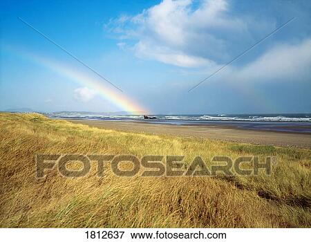 Marram grass, rainbow & shipwreck, Baltray, Co Meath, Ireland View Large Photo Image Stock Photo - Marram grass, rainbow & shipwreck, Baltray, Co Meath, Ireland. Fotosearch