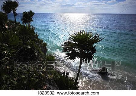 Mayan Riviera, Mexico View Large Photo Image Stock Image - Mayan Riviera, Mexico. Fotosearch