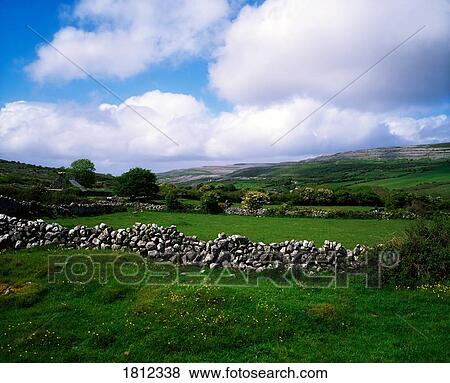 Stock Photo - Meadows near Fanore, Burren, Co Clare, Ireland. Fotosearch