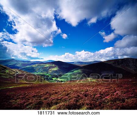 Stock Image - near Luggala Mountain, Co Wicklow, Ireland. Fotosearch