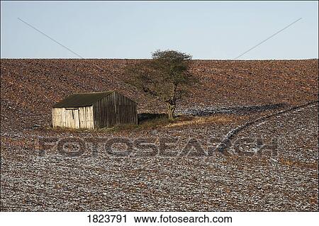 Stock Image - Nottinghamshire, England, barn and tree in a ploughed field during the winter. Fotosearch