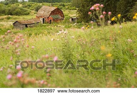 Old farm structures in a field, Alberta, Canada View Large Photo Image Stock Photo - Old farm structures in a field, Alberta, Canada. Fotosearch
