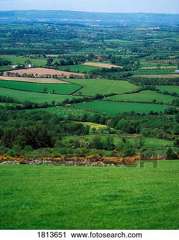 Pastoral, Borris, Co Carlow, Ireland Stock Image | 1813651 | Fotosearch