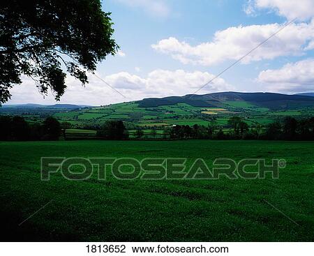 Pastoral, Bunclody, Co Wexford, Ireland View Large Photo Image Stock Image - Pastoral, Bunclody, Co Wexford, Ireland. Fotosearch