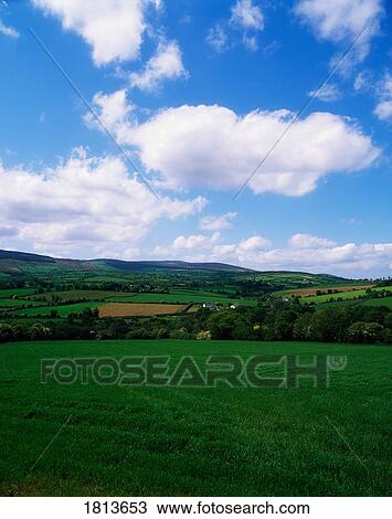 Stock Image - Pastoral, Bunclody, Co Wexford, Ireland. Fotosearch