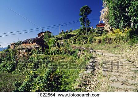 Picture - Path in Annapurna Region, Nepal. Fotosearch