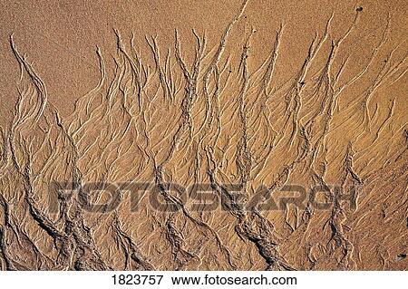 Pattern on the sand View Large Photo Image Stock Photo - Pattern on the sand. Fotosearch