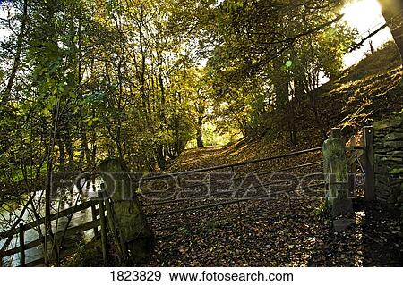 Stock Photo - Peak District National Park, River Derwent, Derbyshire, England. Fotosearch