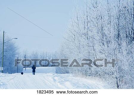 Person walking their dog View Large Photo Image Stock Photography - Person walking their dog. Fotosearch