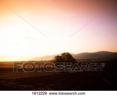 Ploughing, Co Tipperary, Ireland View Large Photo Image Stock Photo - Ploughing, Co Tipperary, Ireland. Fotosearch