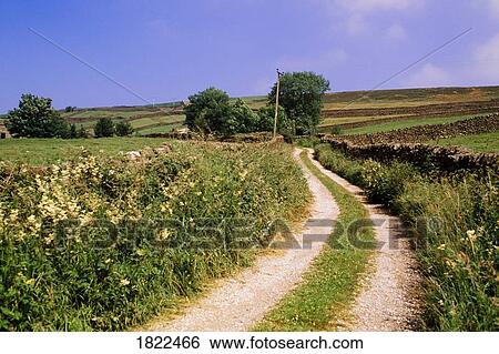 Road and stone fences, Yorkshire Dales National Park, England View Large Photo Image Stock Photograph - Road and stone fences, Yorkshire Dales National Park, England. Fotosearch