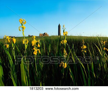 Round Tower, Devenish Island, Lower Lough Erne, Co Fermanagh, Ireland View Large Photo Image Stock Image - Round Tower, Devenish Island, Lower Lough Erne, Co Fermanagh, Ireland. Fotosearch
