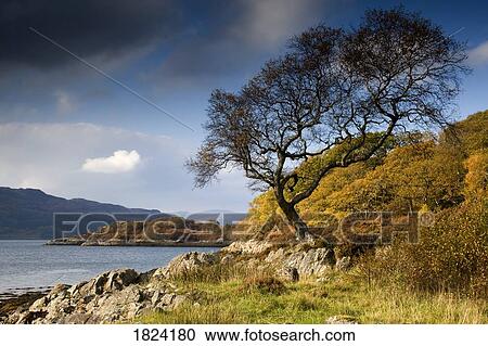 Stock Image - Scottish landscape. Fotosearch