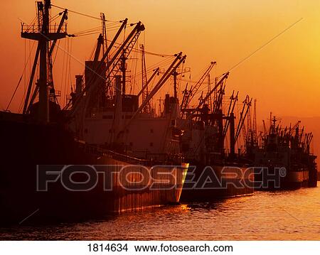 Picture - Shipping freighters at sunset. Fotosearch