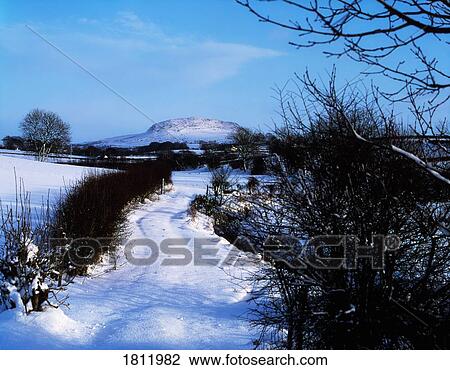 Slemish Mountain, Co Antrim, Ireland View Large Photo Image Stock Image - Slemish Mountain, Co Antrim, Ireland. Fotosearch