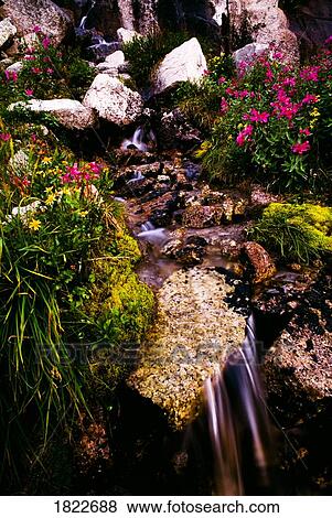 Small stream, Bugaboo Glacier Provincial Park, British Columbia, Canada View Large Photo Image Stock Photo - Small stream, Bugaboo Glacier Provincial Park, British Columbia, Canada. Fotosearch