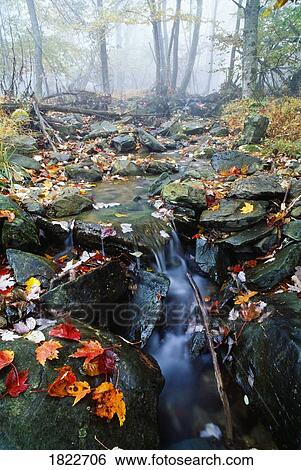 Small stream, Shenandoah National Park, Virginia, U. S. A. View Large Photo Image Stock Photograph - Small stream, Shenandoah National Park, Virginia, U. S. A.. Fotosearch