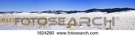 Snow covered fields, Porcupine Hills, Alberta, Canada View Large Photo Image Stock Image - Snow covered fields, Porcupine Hills, Alberta, Canada. Fotosearch