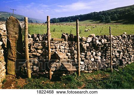 Stock Photo - Stone fence, Yorkshire Dales National Park, England. Fotosearch