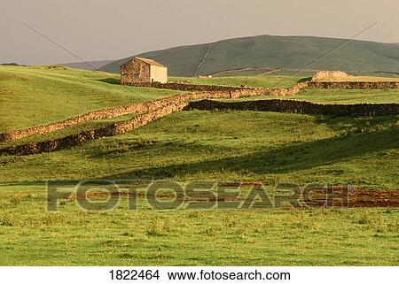 Picture - Stone fences and fields, Yorkshire Dales National Park, England. Fotosearch
