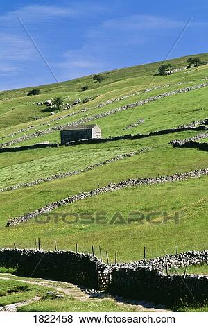 Stone fences and fields, Yorkshire Dales National Park, England View Large Photo Image Stock Photo - Stone fences and fields, Yorkshire Dales National Park, England. Fotosearch